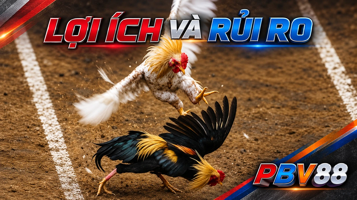 LỢI ÍCH VÀ RỦI RO