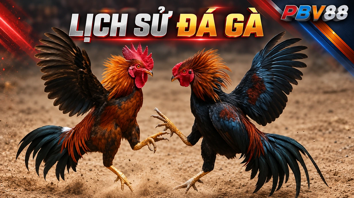 LỊCH SỬ ĐÁ GÀ