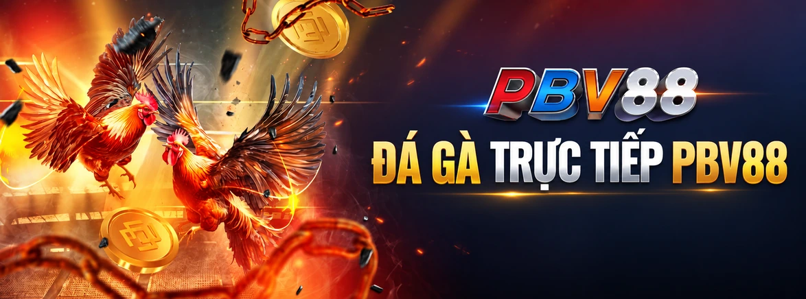 ĐÁ GÀ TRỰC TIẾP PBV88